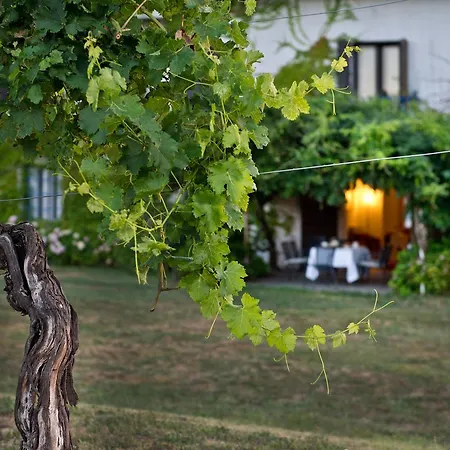Séjour à la campagne Tra Le Vigne *
