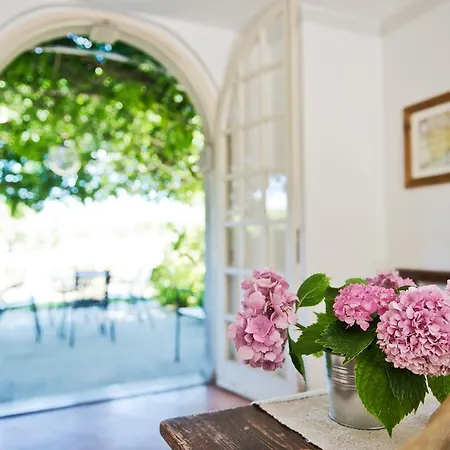 Tra Le Vigne Buttrio