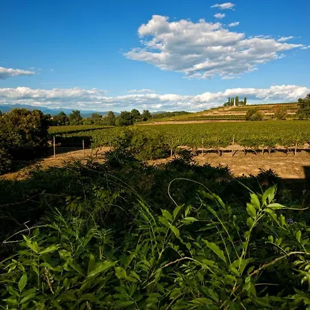 Tra Le Vigne Séjour à la campagne