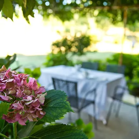 Tra Le Vigne *