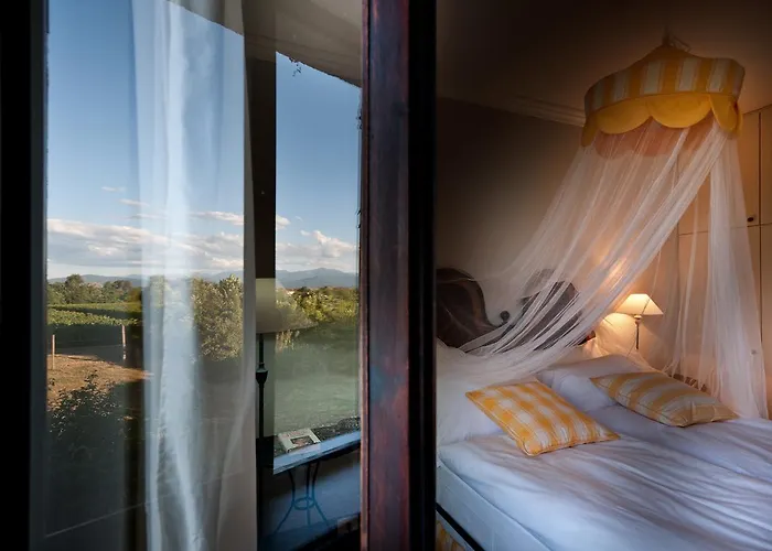 Tra Le Vigne * Buttrio