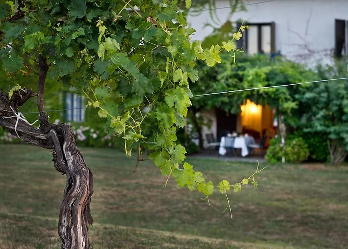 Hétvégi ház Tra Le Vigne *