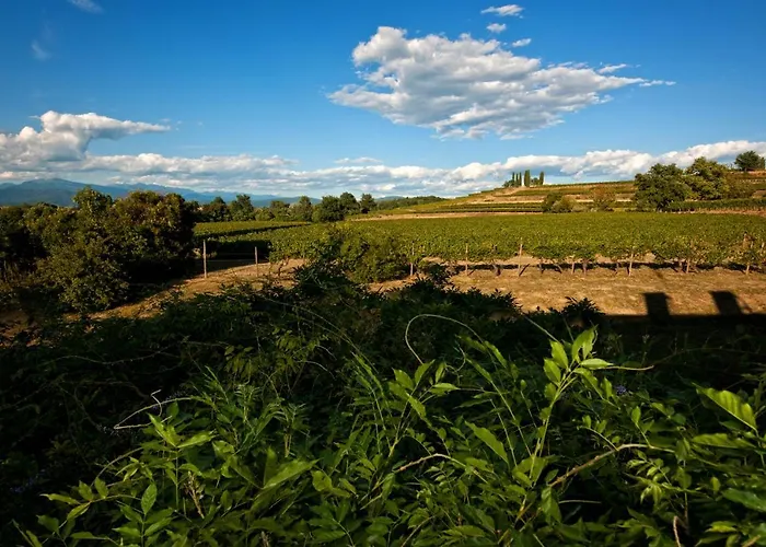 Tra Le Vigne Hétvégi ház