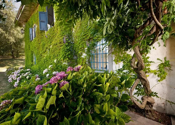 Hétvégi ház Tra Le Vigne Buttrio